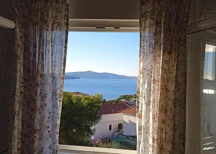 Ivan * Trogir